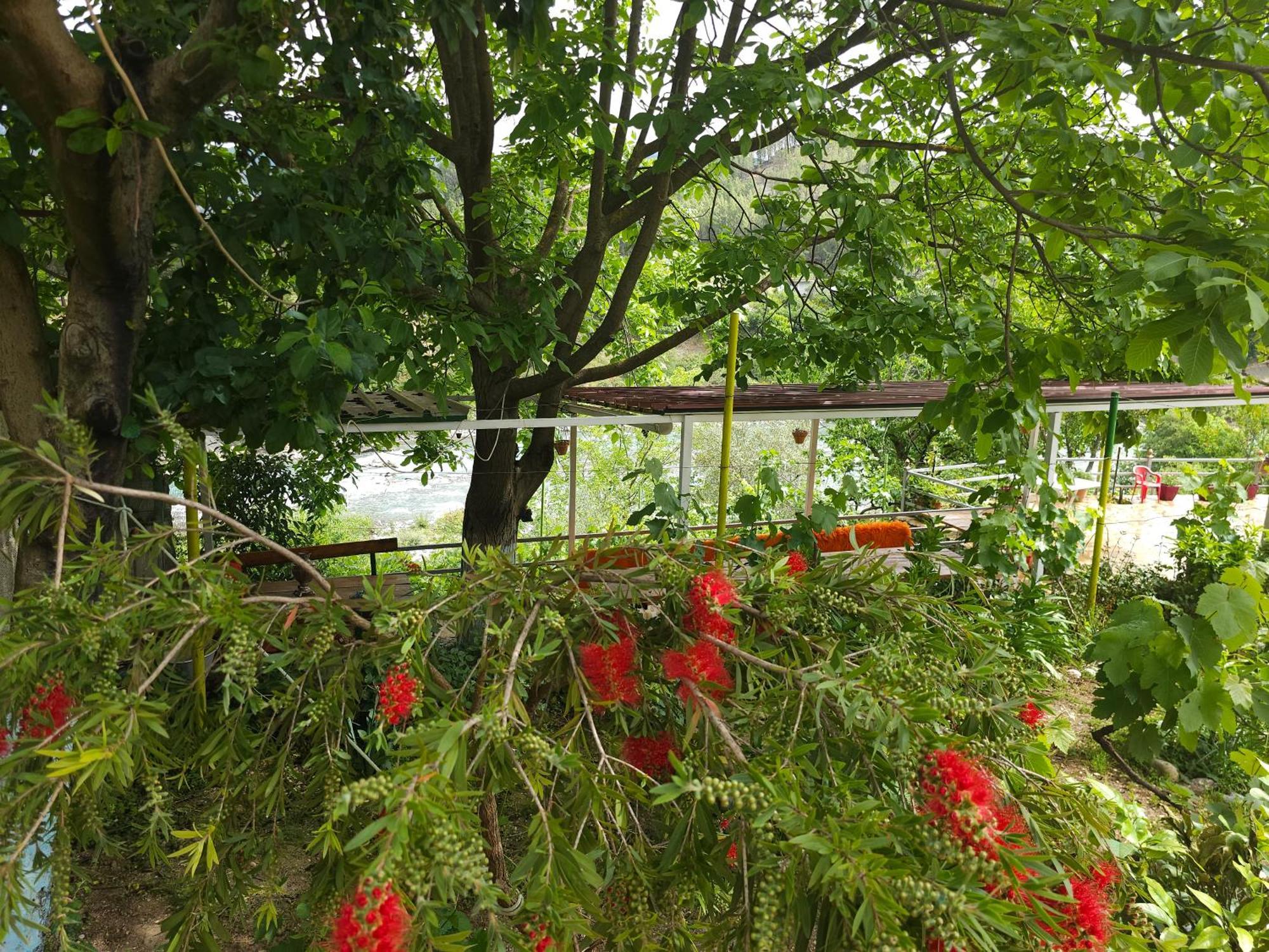 Honey-house “kastrioti” Homestay
